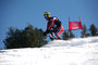 Alpine Skiing<br />AS Alpine Advanced Slalom