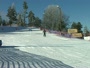 Alpine Skiing<br />AS Alpine Novice Super G