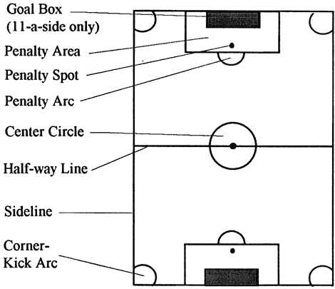 football pitch dimensions. The Pitch