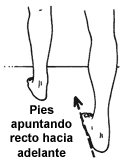 guia guia